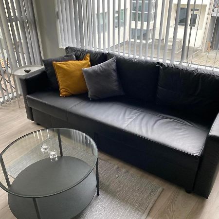 Laugavegur Apartment 雷克雅維克 外观 照片